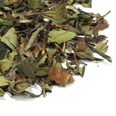 China Whosale China Best Quality Organic White Tea EU Peony Pai Mu Tan From China Standard White Tea Supplier for sale