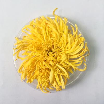 China Chinese Herbal Blooming Chrysanthemum Tea Loose Flower Tea Natural Golden Tea for sale