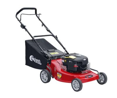 China Wholesale 2-Stroke 21 Inch Self Propelled Gasoline Lawn Mower CJ21G3IN1L196 for sale