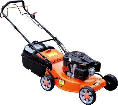 China Newest Aluminum Chasis 19inch CJ19GZZL65-AL Gasoline Self Propelled Lawn Mower With Loncin 196cc Engine for sale