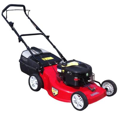 China 4-Stroke rotary portable lawn mower CJ21GZZB60-DL for sale