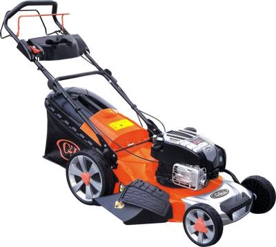 China 4-Stroke CJ21G3IN1B60-DL2 Rotary Grass Cutter Lawn Mower for sale