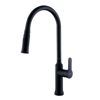 China Modern New Design Kitchen Sink Faucet With Pull Out Sprayer Mixer Tap for sale