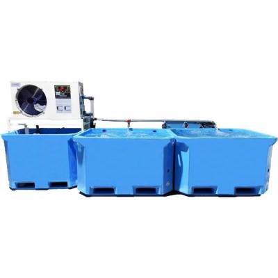 China Best Ras Recirculating Aquaculture System Indoor Fish Farming Equipment For Sale 950mm*750mm*750mm for sale