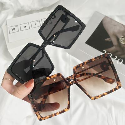 China Oversized Clear Sunglasses Female Non-mainstream Border Cat Eye Sunglasses Personality Street Shooting Retro Fashion Sunglasses for sale