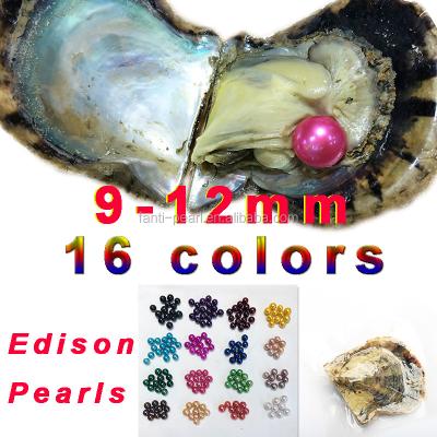 China 9-12mm Colored Edison Shell Giant Round AA+ Freshwater Pearl Fantipearl Big Big Pearl In Oyster With Vacuum Packing for sale