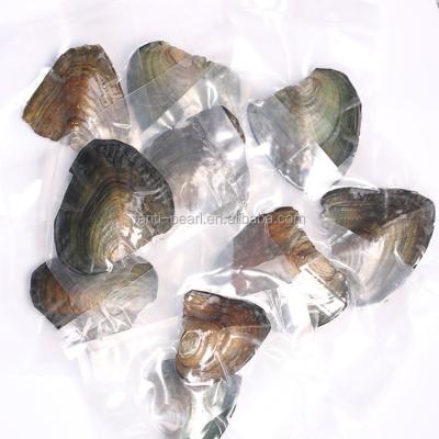 China 25 Pearl Freshwater Pearls in Freshwater Oyster in Individual Vacuum for sale