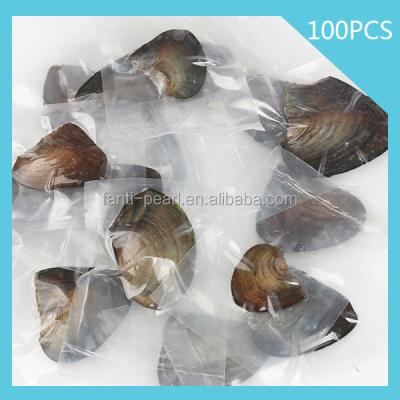 China Freshwater Pearl AAA Freshwater Pearl Oyster Grade Freshwater Pearl With A Round Pearl Mix Color for sale