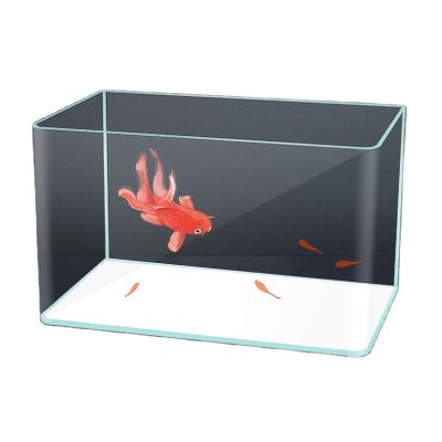 China Large Panel Acrylic Popular Fashion Mini Aquarium Cast Custom Small Acrylic Fish Tank for sale