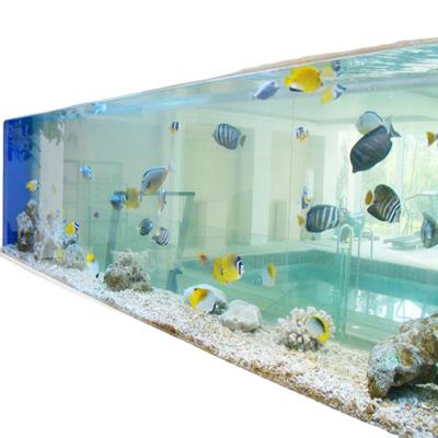 China XITU Viable Cylinder Decoration Fish Tank Large Clear Round Acrylic Glass Acrylic for sale