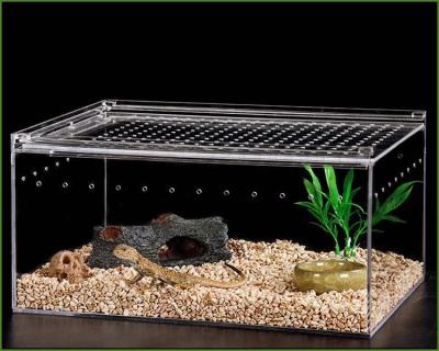 China XITU Acrylic Feeding Box Viable Sign Spring Acrylic Animal Pet Cage For Sale Acrylic Reptile Display Case Insect Reptile Breeding for sale