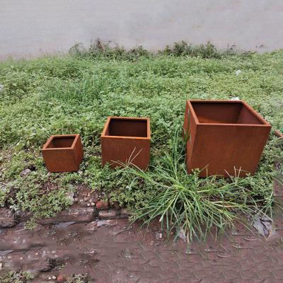 China Corten Steel Plant Boxes The Durable And Stylish Choice For Outdoor Spaces for sale