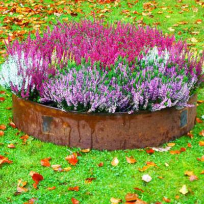 China 3.2FT Corten Steel Garden Edging Bunnings Rusty 39.3 Inch Corten Path Edging for sale