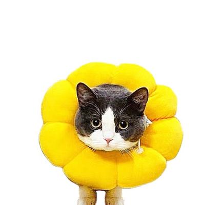 China REPTILES Anti Lick Bite Neck, Sunflower Cat Elizabeth Circle Collar Anti Lick Bite Neck Cover Head Ring Cute Cat Collar for sale