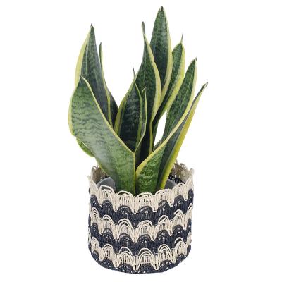 China Country Eco-Friendly Material Paper Rope Weaving Flower Pots And Planters With Transparent Insert for sale