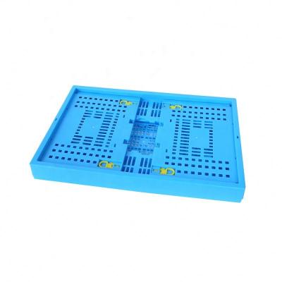 China Mesh High Quality Industry And Agriculture Use Plastic Collapsible Boxes And Bins / Plastic Pallet Crates Vegetable Bins for sale