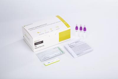 China Disposable Helicobacter Pylori Rapid Test Convenient Detection H Pylori Antigen Test Kit for sale