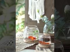 H15cm Fish Bowl Elegant Glass Vase Decor for Modern Home and Office