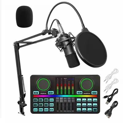 China USB Microphone OEM Studio Recording Live Broadcast Audio Interface D9 48V Supply USB Type C and BM700 Dual Microphone USB Type C Sound Card for sale