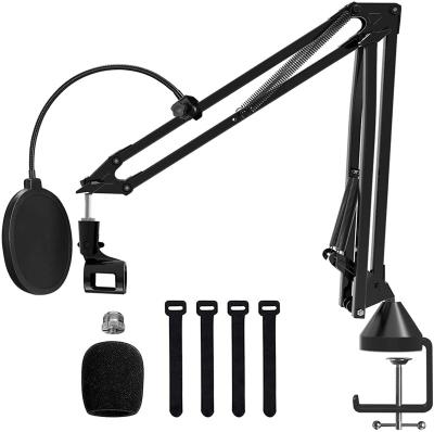 China OEM Factory Boom Arm for Mic Adjust Microphone Arm Stand with Durable Clamp and Noise Filter ZEA11 for sale