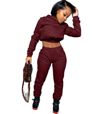 China Hot Selling Begonia 2021 Women Joggers Breathable 2 Piece Crop Top Two Pants Set For Women Fall Piece Jogger Tracksuit Sweatsuit for sale