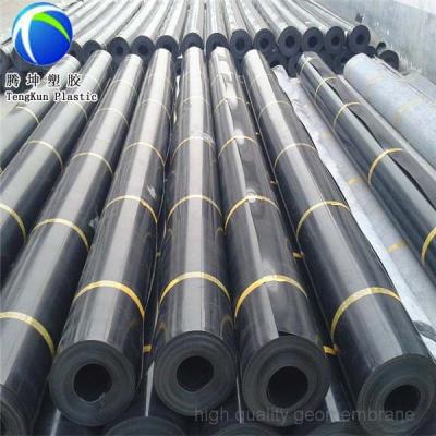 China Contemporary Wholesale Price Black Rolls Geomembrane HDPE Plastic Roll Sheet for sale