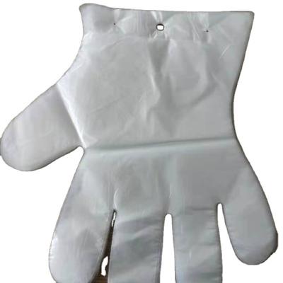 China Other Color Plastic Clear PE Disposable Glove for sale