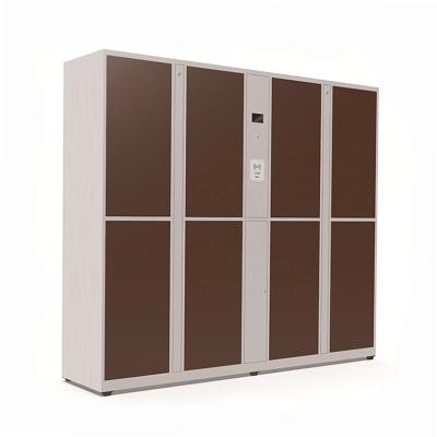 China High Quality Cold Rolled Steel Digital Pickup Cold Rolled Outdoor Smart Locker For Express for sale