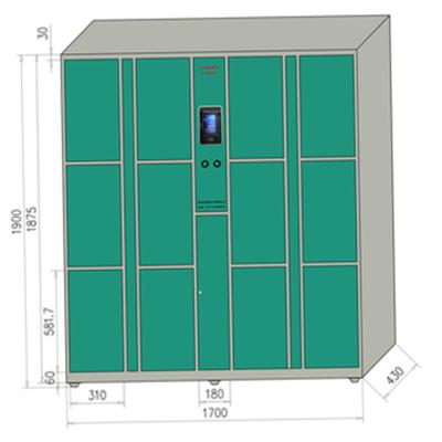 China Office Facial Recognition Smart 10 Door Digital Steel Electronic Locker For Express for sale