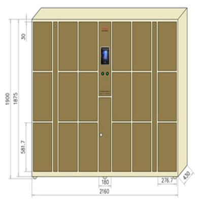 China Patio\Garden\Outdoor Waterproof Locker\Hotel\Beach Facial Smart Automatic Parcel Storage Digital Recognition for sale