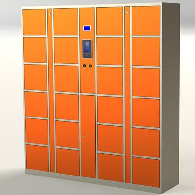 China Intelligent High Quality Fingerprint Package Storage Cabinet Indoor Parcel Locker DKC-Z-24-4 for sale