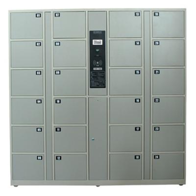 China Corrosion Protection Special Function Storage Parcel Delivery Smart Metal Locker For Express for sale