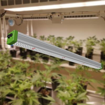 China Seed Seed Planting Plants 100w Grow Lights with Led Grow Bulb Indoor Plant Grow Lights for Growing Greens for sale