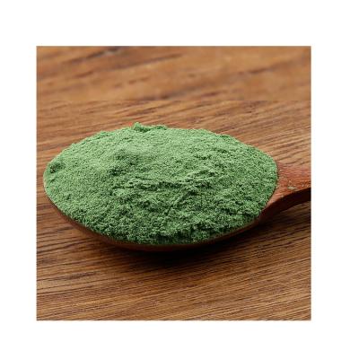 China Dry specializing in the production of authentic high quality dehydrated raw freeze-dried vegetable spinach powder for sale