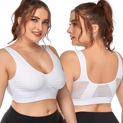 China European and American style new hollow mesh women's sports QUICK DRY underwear no steel ring plus size women's underwear for sale