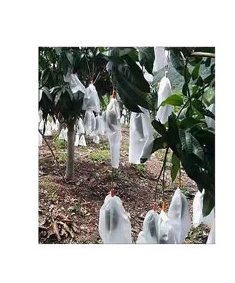 China Cheap eco-friendly hot sale factory &flower cover non woven fabric agriculture bag from China factory manufacturer for sale