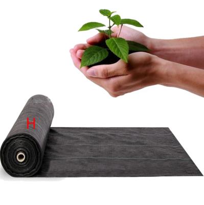 China Eco-friendly weed control barrier mat in roll fabric / nonwoven fabric or spunbond agriculture landscape / pp non woven ground cover for sale