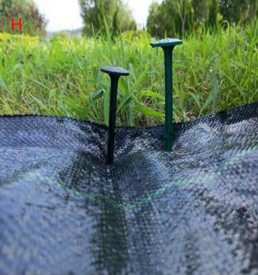 China Special for agriculture use stop weeds growth and keep water hot sale weed barrier around fruit trees pp woven weed mat for suppress weeds for sale