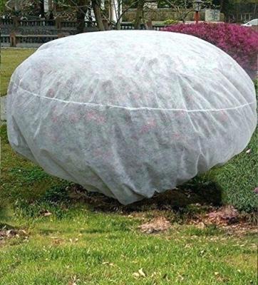 China Polypropylene Waterproof Non Woven Fabric Plant Protection Cover / Bag for sale