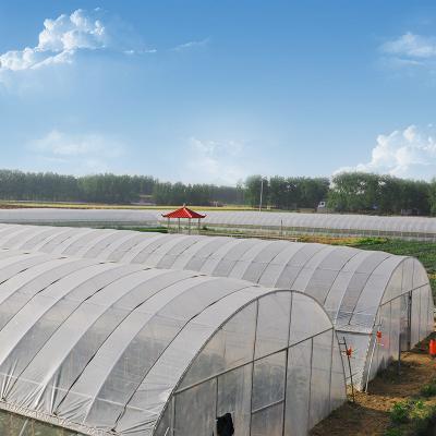 China Greenhouse cover High quality 180mic 200mic anti-UV plastic greenhouse film for agriculture for sale