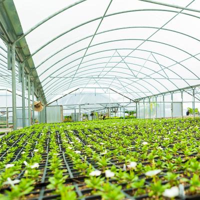 China Greenhouse cover anti condensate anti fog sun control vegetables nursery greenhouse clear plastic cover for sale