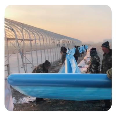 China Antistatic surface Low price tomato strawberry agricultural PO plastic film for greenhouse for sale