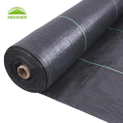 China Stable Structure Easily Assembled Strawberry Plant Greenhouse Agricultural anti Weed Mat Ground cover Control Weed Growing Black Polypropylene PP woven fabric for sale