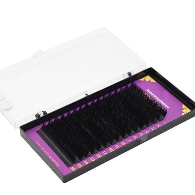 China Cashmere Natural Soft Natural Soft PBT Private Label False Mink Eyelash Extensions Korean Tray for sale