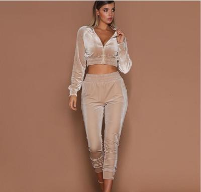 China Velvet Women's Clothing Autumn Fashion Casual Long Sleeve Breathable Zipper Up Solid Two Piece Pants Sets for sale