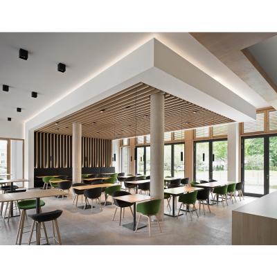 China Perforated ceilings wood strip ceiling for hall ceiling decoration for sale