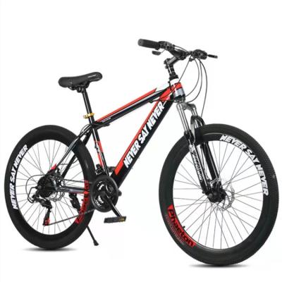 China Student Cross Country Bike Steel Mountain Bike for sale