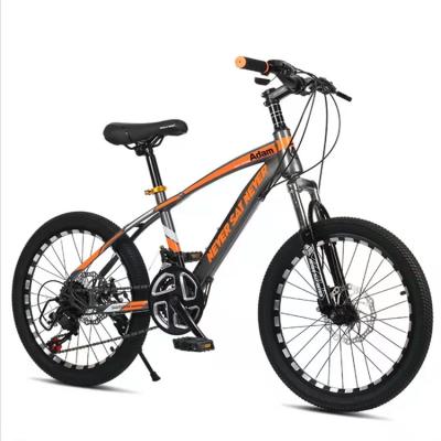 China Student Cross Country Bike Steel Mountain Bike for sale