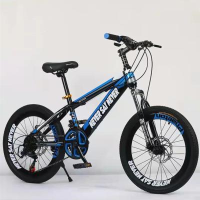 China Student Steel Bike Transmission Offroad Mountain Bike for sale