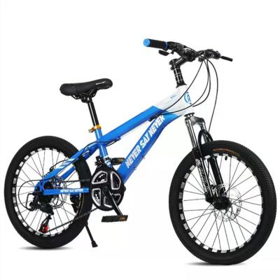 China Teenage Steel Men And Women Sport Bike 21 Speed ​​Transmission Mountain Bike for sale